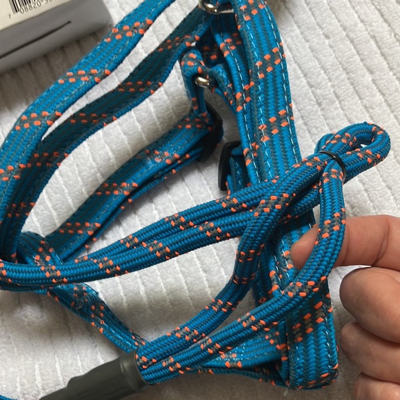 Dog set - harness leash and tie out - Picture 4 of 8